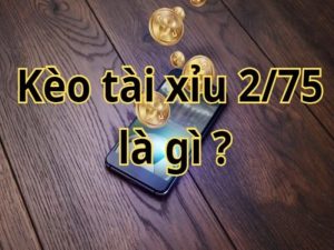 Kèo tài xỉu 2.75 là gì